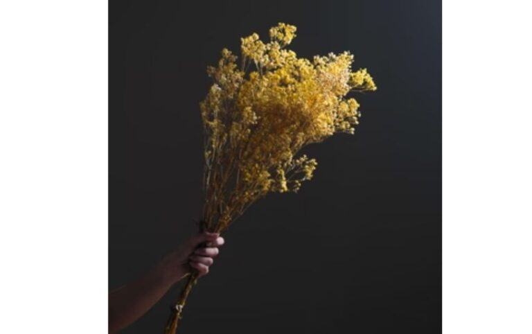 Ambermint cov 768x482